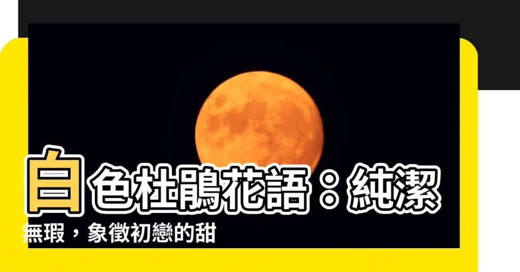 【白色杜鵑花花語】白色杜鵑花語：純潔無瑕，象徵初戀的甜蜜