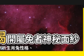【屬兔性格】揭開屬兔者神秘面紗！剖析生肖兔性格、財運與婚姻真相