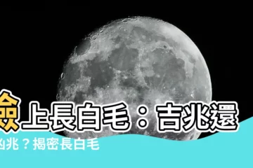 【臉上長白毛】臉上長白毛：吉兆還是凶兆？揭密長白毛背後的玄機