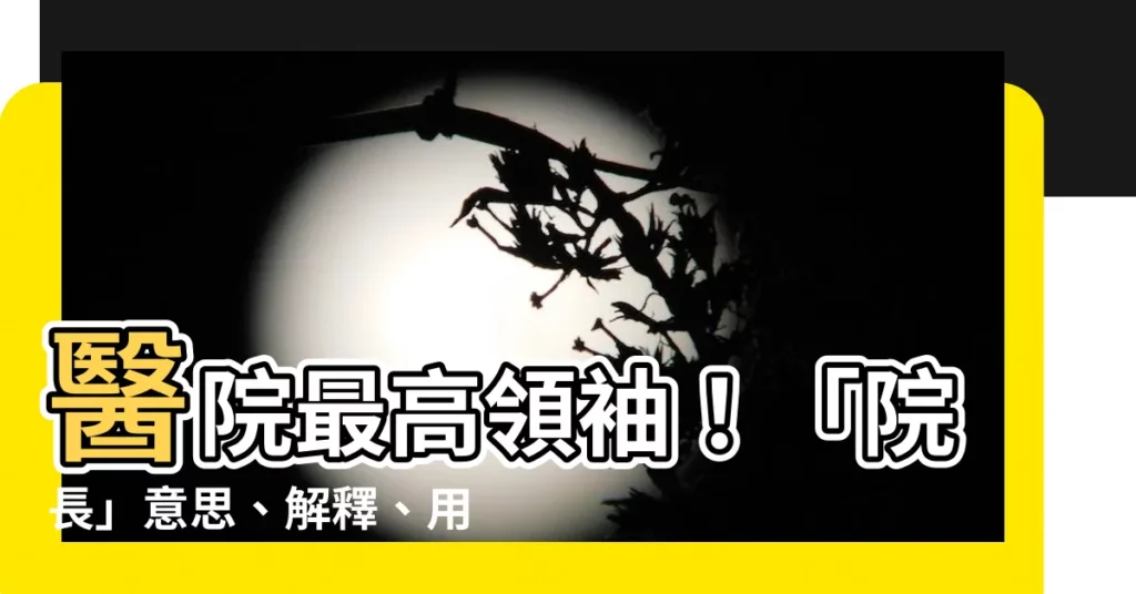 【院長 意思】醫院最高領袖！「院長」意思、解釋、用法、例句、你知道嗎？