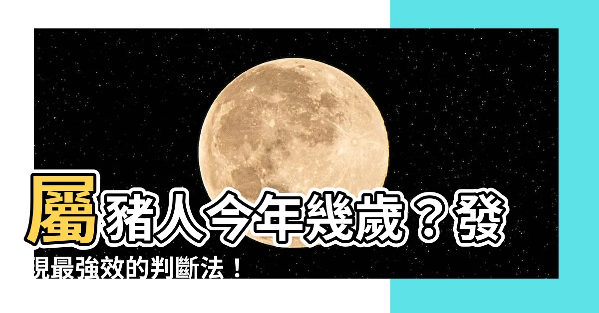 【屬豬虛歲幾歲】屬豬人今年幾歲？發現最強效的判斷法！