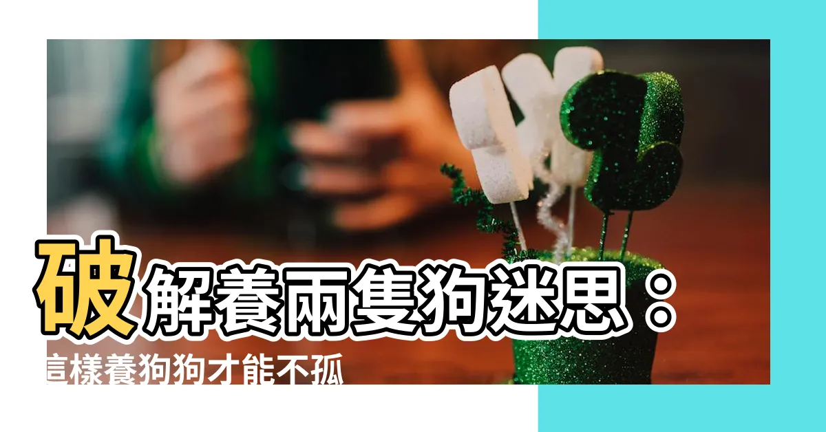 【養兩隻狗破解】破解養兩隻狗迷思：這樣養狗狗才能不孤單，避開台灣禁忌！
