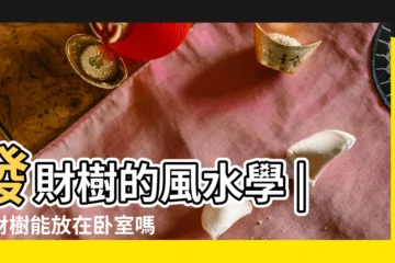【卧室發財樹擺放位置】發財樹的風水學 |發財樹能放在卧室嗎 |發財風水樹擺放禁忌 |