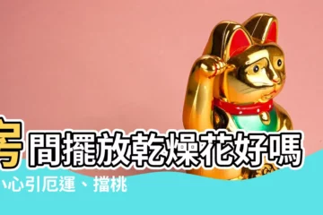 【房間放乾燥花好嗎】房間擺放乾燥花好嗎？小心引厄運、擋桃花！