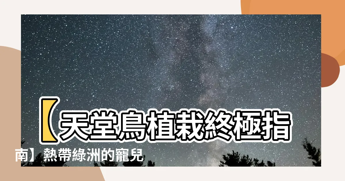 【天堂鳥植栽】【天堂鳥植栽終極指南】熱帶綠洲的寵兒，輕鬆在家也能養！