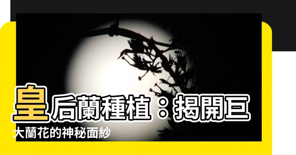 【皇后蘭種植】皇后蘭種植：揭開巨大蘭花的神秘面紗