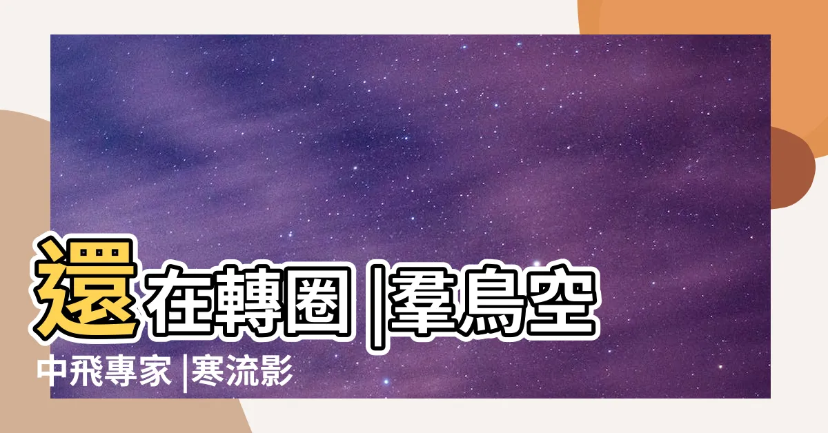 【很多鳥在飛】還在轉圈 |羣鳥空中飛專家 |寒流影響 |