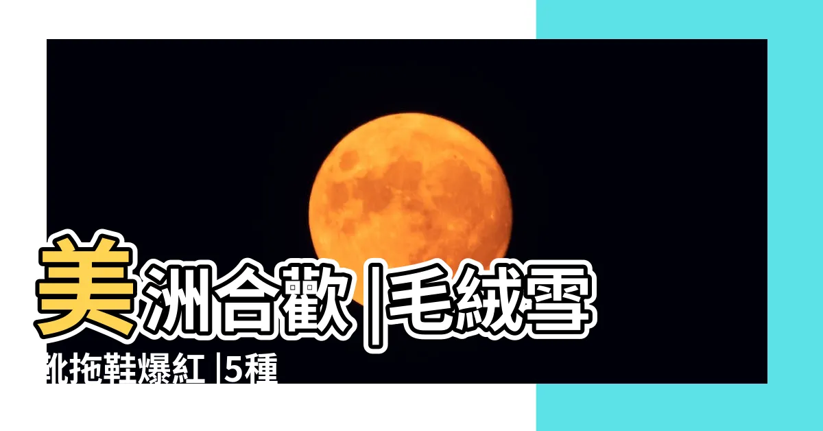 【紅絨球】美洲合歡 |毛絨雪靴拖鞋爆紅 |5種穿搭靈感 |