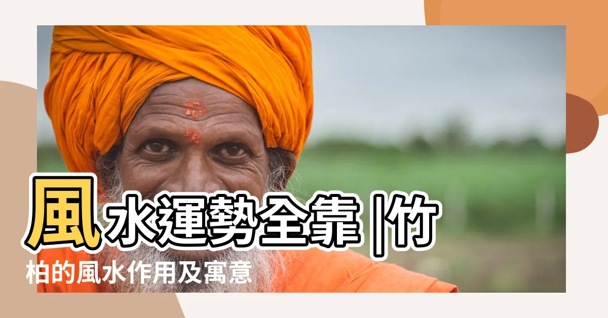 【竹柏財位】風水運勢全靠 |竹柏的風水作用及寓意擺放位置禁忌 |注意這幾點招財開運 |