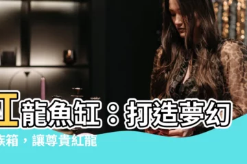 【紅龍魚缸】紅龍魚缸：打造夢幻水族箱，讓尊貴紅龍魚傲視羣雄