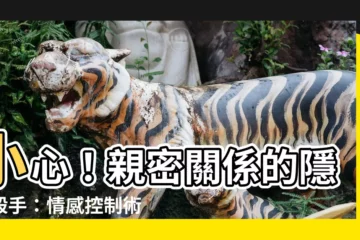 【情感控制】小心！親密關係的隱形殺手：情感控制術