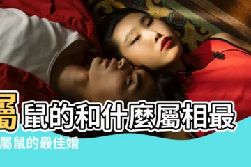 【屬鼠的和什麼屬相最配】屬鼠的和什麼屬相最配 |屬鼠的最佳婚配屬相 |屬鼠的和什麼屬相最配 |