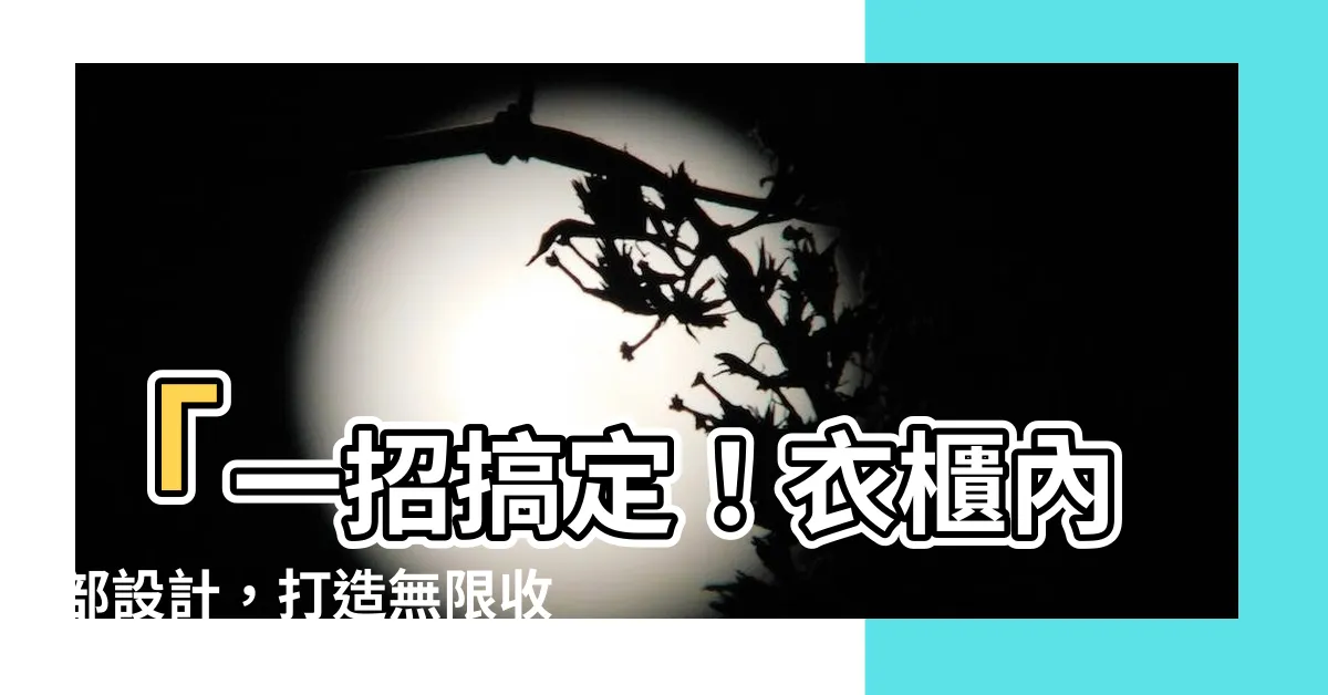 【衣櫃內部設計】「一招搞定！衣櫃內部設計，打造無限收納空間！」