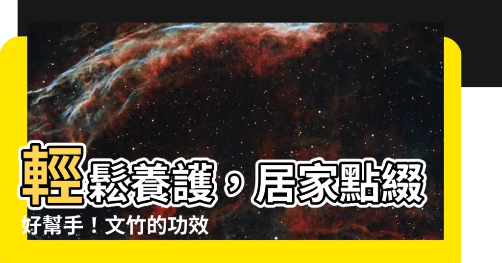 【文竹功效】輕鬆養護，居家點綴好幫手！文竹的功效與妙用大公開
