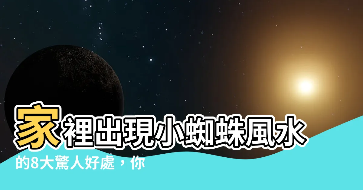 【家裡出現小蜘蛛風水】家裡出現小蜘蛛風水的8大驚人好處，你絕對想知道！