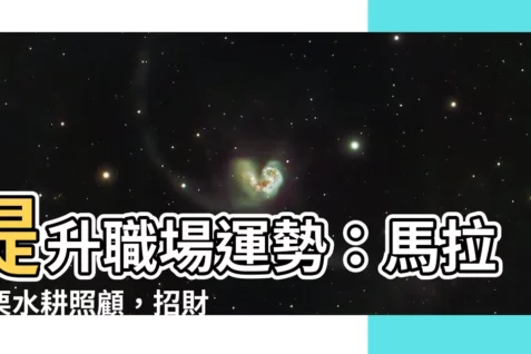 【馬拉巴慄水耕照顧】提升職場運勢：馬拉巴慄水耕照顧，招財又方便！