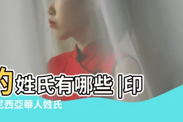 【姓氏ci】的姓氏有哪些 |印度尼西亞華人姓氏 |