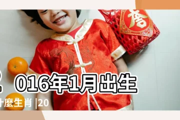 【2016年1月】2016年1月出生屬什麼生肖 |2016年是什麼生肖年 |2016年春節是幾月幾號 |