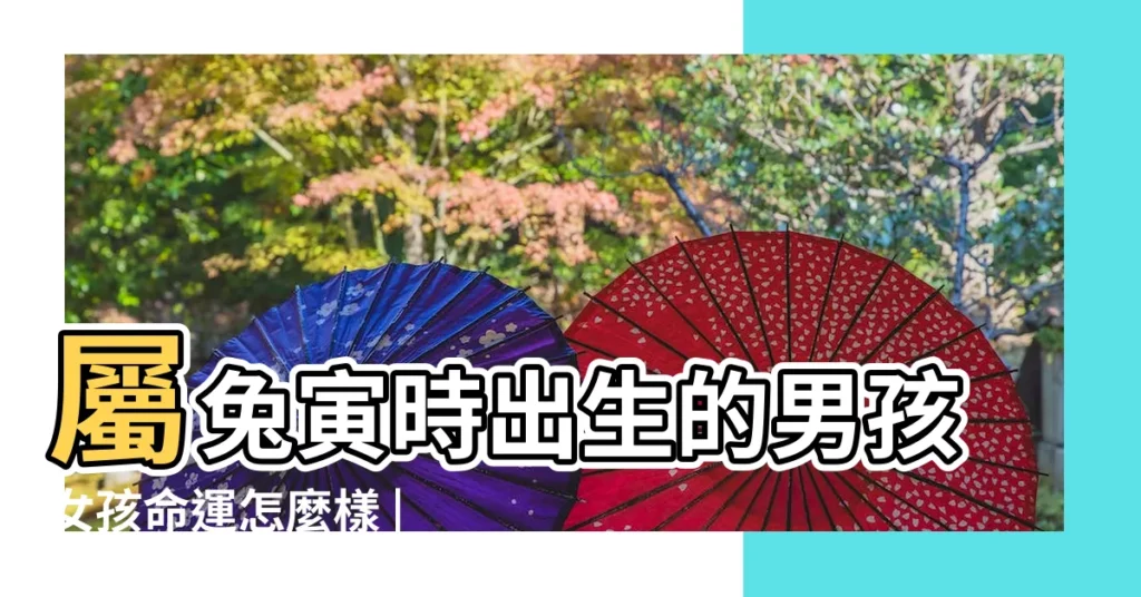 屬兔寅時出生的男孩女孩命運怎麼樣 |寅時出生的屬兔人命運如何 |原創不同時辰出生的兔寶寶各有什麼特點 |【兔寶寶生在寅時】