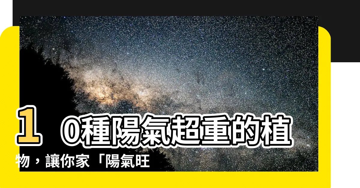 【陽氣植物】10種陽氣超重的植物，讓你家「陽氣旺旺來」！