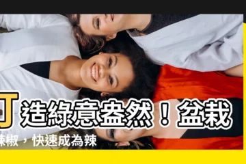 【盆栽種辣椒】打造綠意盎然！盆栽種辣椒，快速成為辣椒種植達人