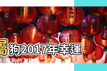 【2017年屬狗人的忌顏色】屬狗2017年幸運顏色 |屬狗的人穿什麼顏色衣服最好 |2017年各生肖屬相開運旺運顏色 |