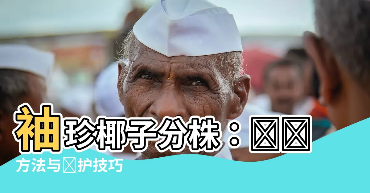 【袖珍椰子分株】袖珍椰子分株：簡單方法與養護技巧