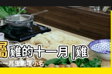 【屬雞十一月生起啥名好】屬雞的十一月 |雞年十一月生起啥小名 |陰曆十一月出生的取什麼名字好 |