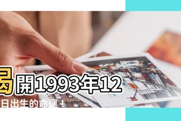 【1993年12月1日】揭開1993年12月1日出生的命運！