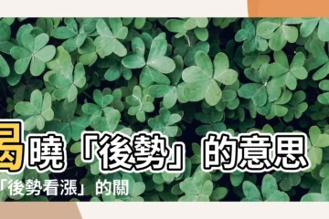 【後勢 意思】揭曉「後勢」的意思和「後勢看漲」的關鍵密碼！