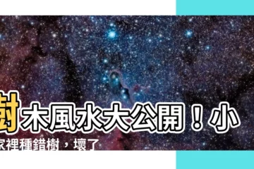 【樹 風水】樹木風水大公開！小心家裡種錯樹，壞了整棟屋運勢