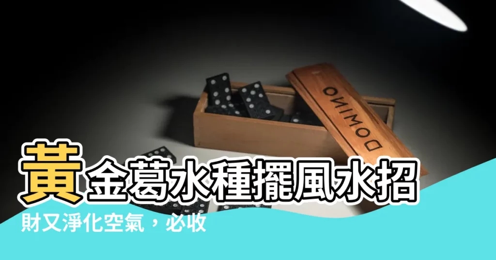 【水種黃金葛風水】黃金葛水種擺風水招財又淨化空氣，必收藏！