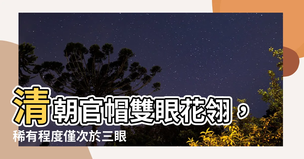 【雙眼花翎】清朝官帽雙眼花翎，稀有程度僅次於三眼花翎
