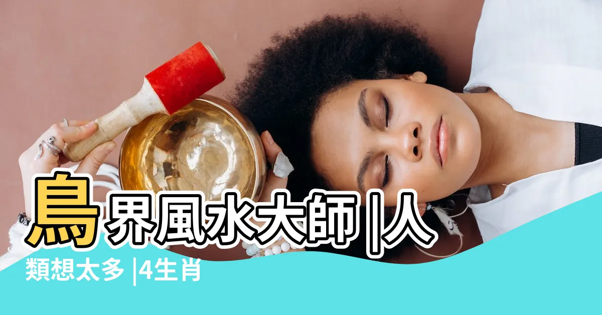 【鳥築巢 風水】鳥界風水大師 |人類想太多 |4生肖準備一飛沖天 |