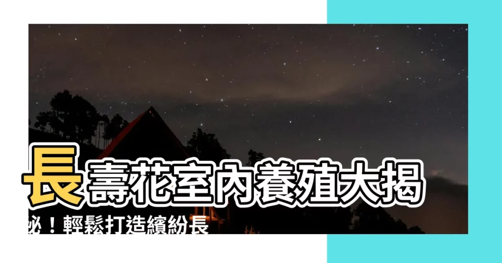 【長壽花室內】長壽花室內養殖大揭秘！輕鬆打造繽紛長壽花