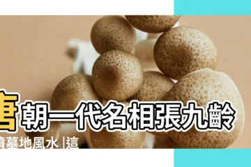 【張九齡祖墳風水故事】唐朝一代名相張九齡祖墳墓地風水 |這個風水非常值得學習 |唐朝一代名相張九齡祖墳墓地風水 |