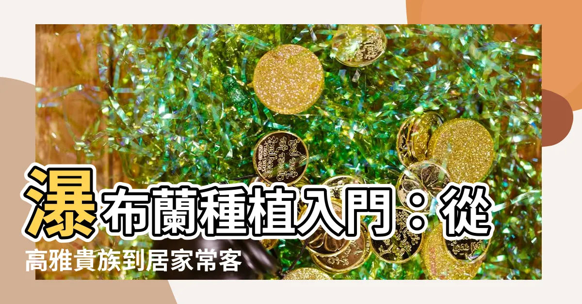 【瀑布蘭種植方法】瀑布蘭種植入門：從高雅貴族到居家常客