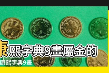 【五行屬金的字九畫】康熙字典9畫屬金的字 |康熙字典9畫五行屬金的字 |9劃屬金的字 |