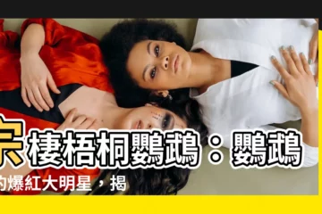 【宗棲梧桐鸚鵡】宗棲梧桐鸚鵡：鸚鵡界的爆紅大明星，揭開牠竄紅的秘密！