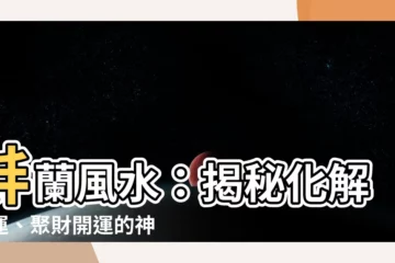 【蚌蘭風水】蚌蘭風水：揭秘化解厄運、聚財開運的神奇植物！