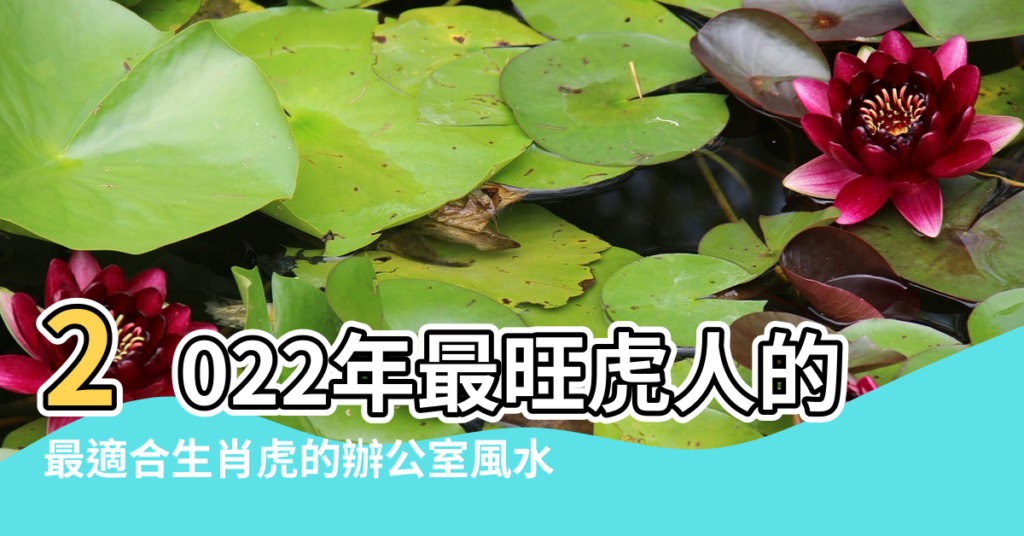 【屬虎的辦公室風水學】2022年最旺虎人的辦公室風水佈局 |最適合生肖虎的辦公室風水 |屬虎的辦公室風水擺放宜忌 |