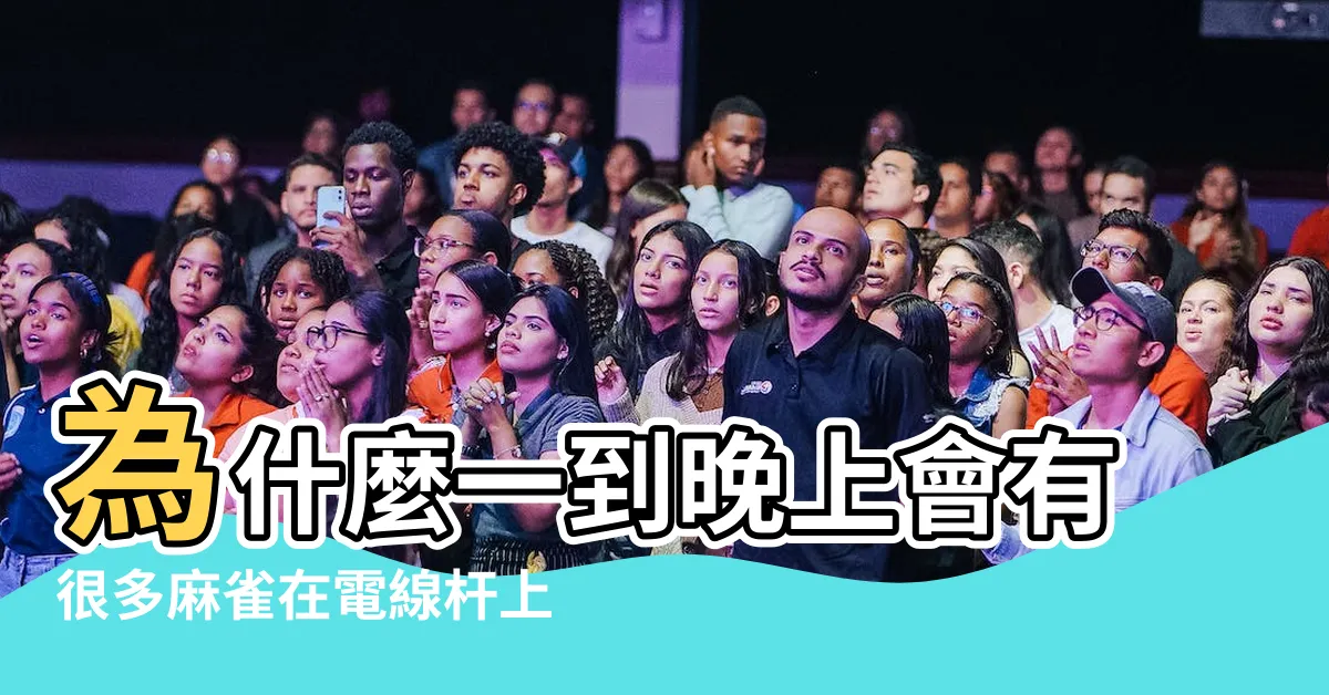 【麻雀很多】為什麼一到晚上會有很多麻雀在電線杆上 |家裡附近出現大量麻雀 |麻雀突然多了是什麼預兆啊 |