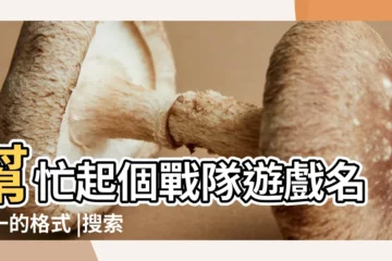【遊戲霸氣統一開頭的名字大全】幫忙起個戰隊遊戲名統一的格式 |搜索結果 |不失潮流的 |