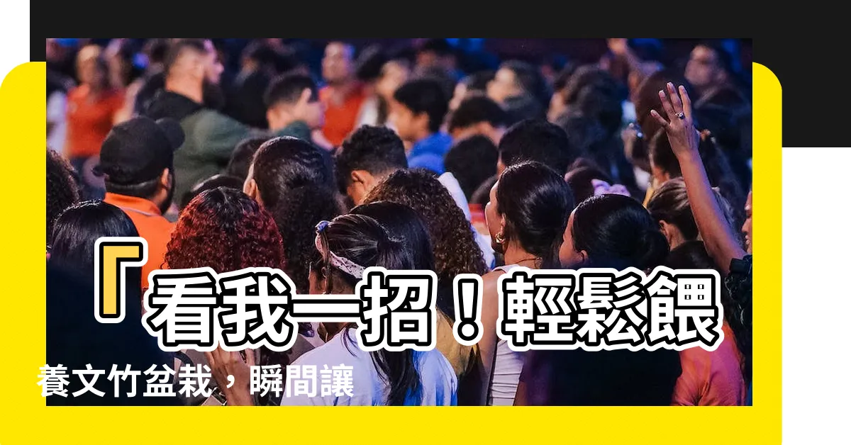 【文竹盆栽】「看我一招！輕鬆餵養文竹盆栽，瞬間讓它變身為綠色巨獸！」