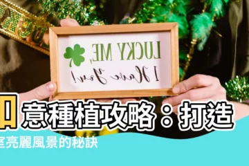 【如意種植】如意種植攻略：打造居室亮麗風景的秘訣