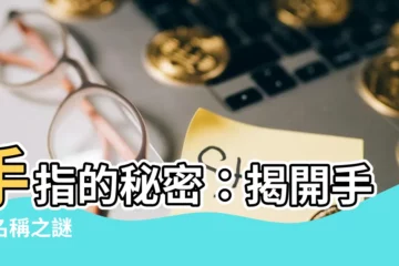 【手指名稱】手指的秘密：揭開手指名稱之謎