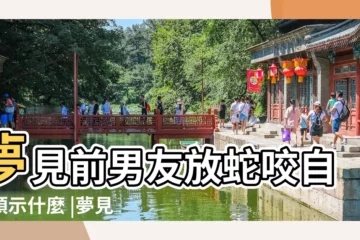 【夢見前男友和很多小蛇】夢見前男友放蛇咬自己預示什麼 |夢見分手複合是在告訴你什麼 |夢見蛇是吉兆盤點4大吉祥夢別做這件事否則好運會溜走 |