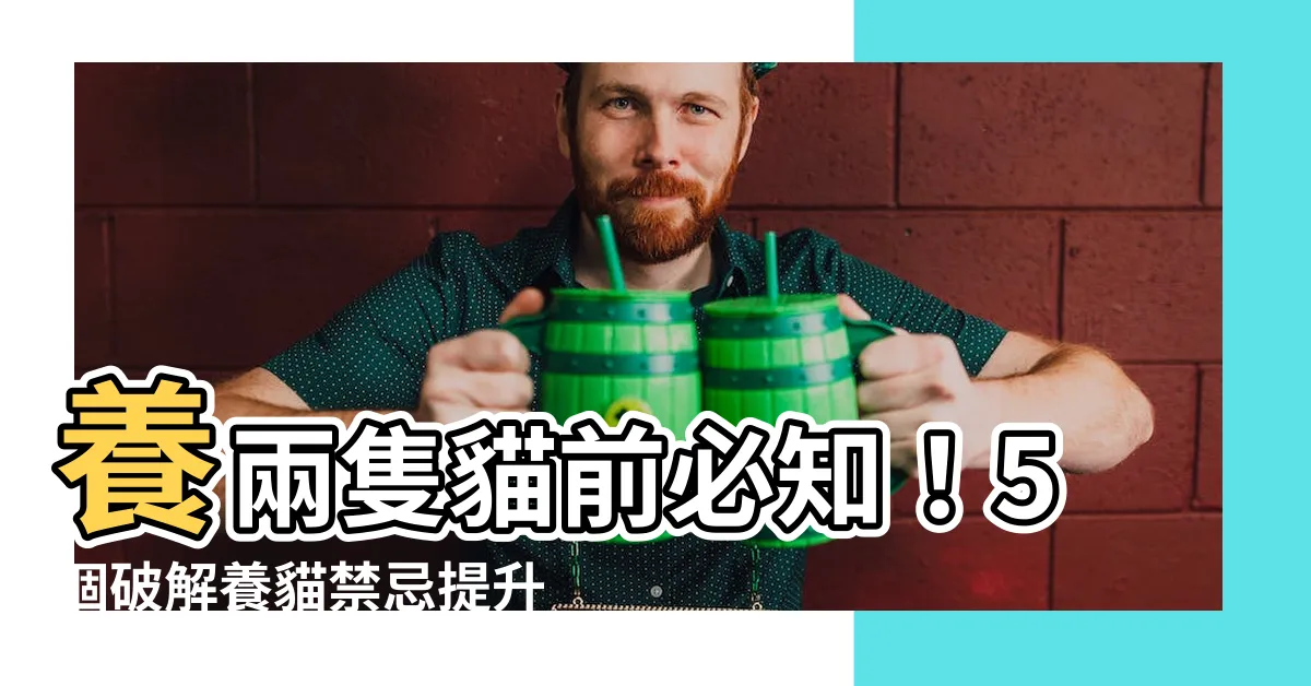 【養兩隻貓 禁忌】養兩隻貓前必知！5個破解養貓禁忌提升貓貓幸福指數