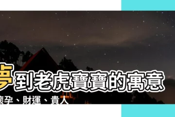 【夢到老虎寶寶】夢到老虎寶寶的寓意：懷孕、財運、貴人相助
