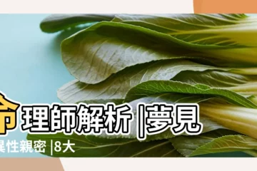 【夢見特別努力的異性】命理師解析 |夢見與異性親密 |8大類夢境 |